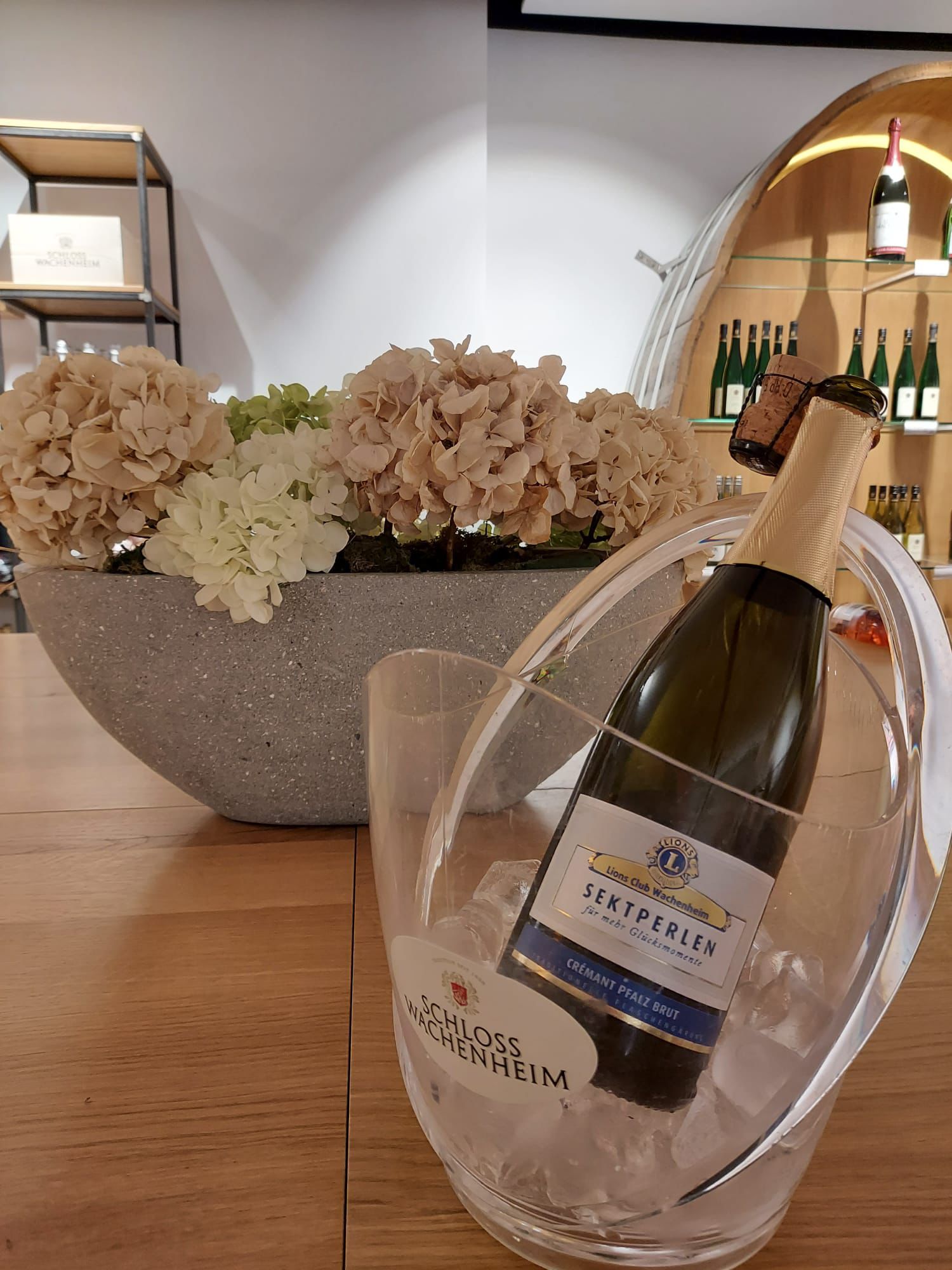 Lions Crémant aus Wachenheim