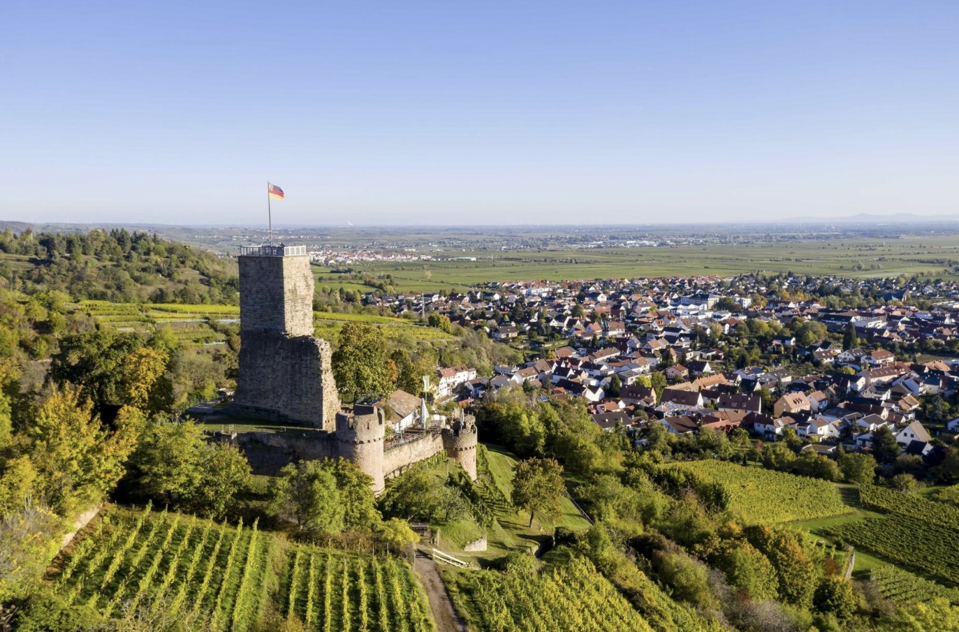 Wachenheim