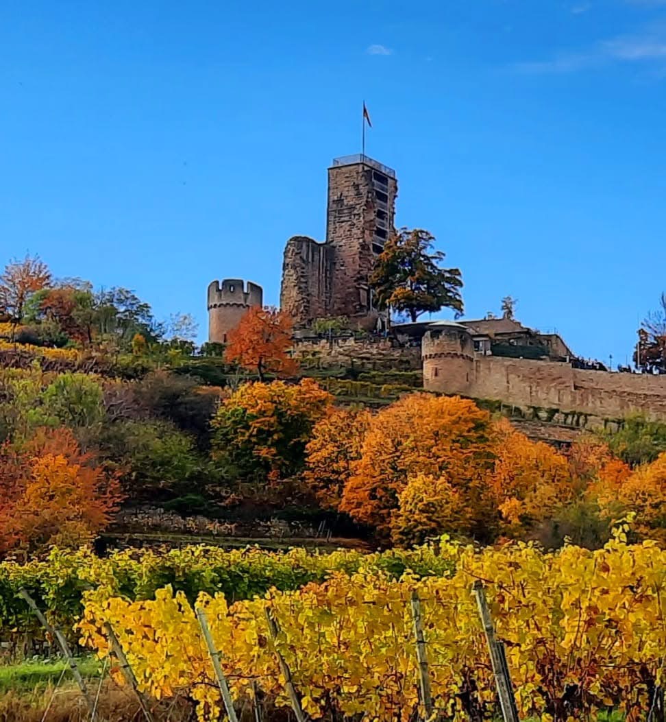 Burg Wachenheim